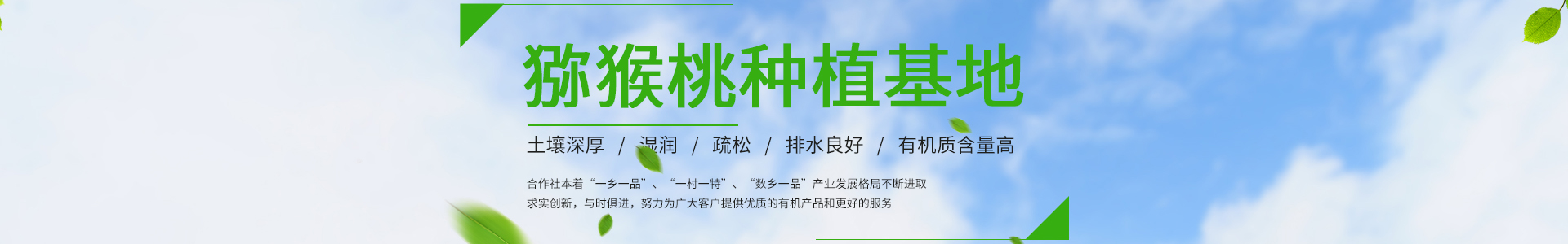 雷火·竞技(中国)-电竞网站